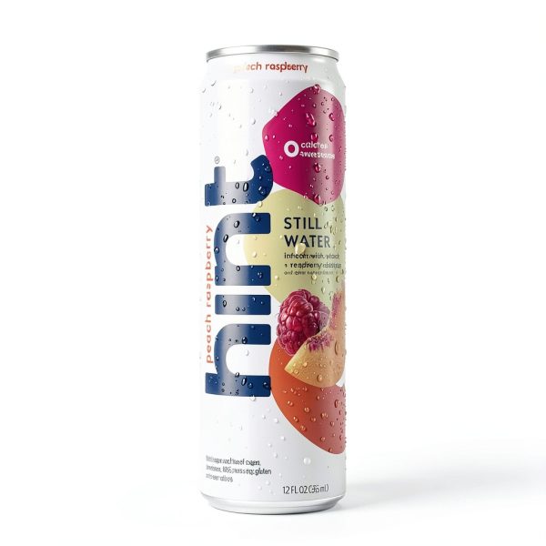 Hint Flavored Water Blueberry Lemon 12 Fl Oz Pack of 12-3