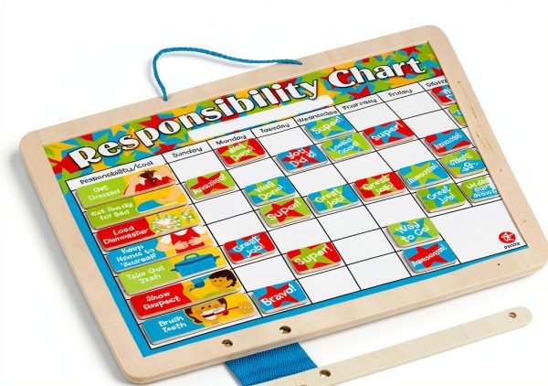 Melissa and Doug Magnetic Tracking Chart with Dry Erase Boards and 89-2